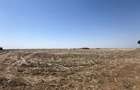 Teren Intravilan, diverse parcele, minim 750mp teren-Sanandrei - 2