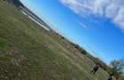 Vand teren lac /baraj Ianova (Remetea Mare)