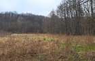 Vand teren Smeura, Arges - 2