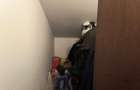 Apartament cu 4 camere în Roșu - 3