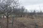 Vand teren in localitatea Blanzi Jud Galati - 3