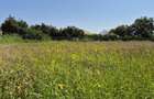 Teren 1.570mp la strada principală, dublă deschidere, Ciofliceni - Snagov! - 9