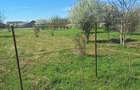 Dragomiresti- Vale, str Nucilor, teren intravilan 2.262mp. - 5