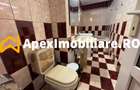 Duplex 3 camere de inchiriat Bd. Unirii București | ApexImobiliare.ro