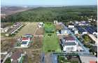 Teren - Voluntari - vis a vis de Padure - 10.000 mp - 3