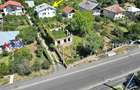 Casa P+1 cu subsol, 219 mp, teren 547 mp Valea Mare Podgoria