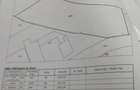 Casa de caramida 120 mp cu teren intravilan 32 arii de vanzare construc?ie 1960 cu actele la zi! - 2