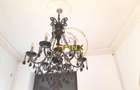 Vanzare zona Armeneasca,Casa eclectica sec XX,curte individuala,3 niveluri 295mp - 8