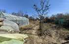 Casa 30km de bucuresti Cascioarele Giurgiu 2100mp - 5