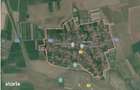 Cota de 1/2 teren extravilan Loc. Racovita, jud. Timis R3308145 - 5