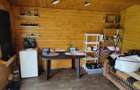 Teren intravilan 1200 mp+casuta de gradina si anexe Cascioarele, Ulmi - 4