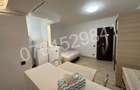 Garsoniera Teiul Doamnei-Colentina,Str. Nada Florilor 5,renovata total - 5