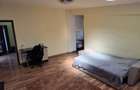 P.F inchiriez apartament 2 camere langa Iulius Mall. - 8