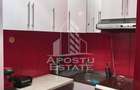 Apartament o camera, etaj intermediar si lift, Take Ionescu - 7
