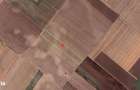 Teren Extravilan In Rate Primaverii Com. Berceni | 12.576mp | #EG41 - 2