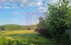 VANZARE TEREN 2150 MP IN SAT TEISORI (GR) - 6