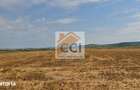 Teren intravilan 50.000 mp, Bacau, ?oseaua Hol - 1