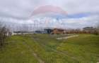 Teren intravilan 1053 mp - Crevedia -PUZ aprobat - 10