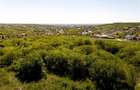 RECO Teren intravilan pentru investitie 2414 mp -dealuri Oradea - 4