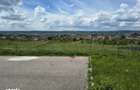 Teren 1400 mp, Mioveni, 30 eur/mp - 3