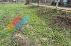 Teren intravilan 2402 mp, cu utilitati, zona Sopor/Borhanci - 2