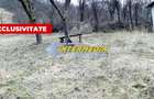 Teren Intravilan in Paclisa 1450 mp cu Puz aprobat - 1