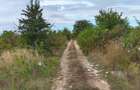 Terenuri Intravilane 1.000 mp - Str. Viilor - Zona de case P + 2