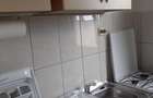 Apartament cu 2 camere decomandat în Români - 4
