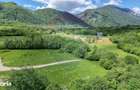 Teren 500mp Tohanita (intre castelul Bran si Zarnesti), langa padure - 9