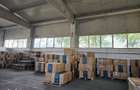 Hala de vanzare, 906 mp, utilita?i complete - 7
