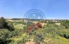 Vila cu 6camere de vanzare in Carcea/Dolj - 4