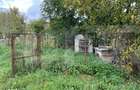 Casa taraneasca in centrul localitatii Ilieni teren 832 mp. - 8