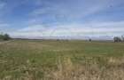 Teren Intravilan com. Ratesti - 4