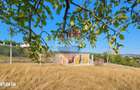 Casa / Vila cu 4 camere de vanzare