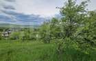 Teren extravilan de vanzare 1000 mp, livada, ideal pent - 3