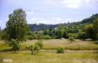 Teren intravilan plat in Bran, 1000 mp, vedere catre Bucegi, utilitati - 3
