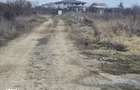 Teren Balotesti,intre case noi,vecinDn1,utilitati la hotar,800 mp