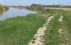 Teren Ion Creanga, Roman, Neamt - 4
