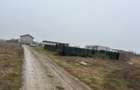 Vanzare teren Techirghiol - Constanta - 3