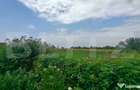 Teren parcelat pentru construc?ii, 5054.03 mp, zona Corne? - 1