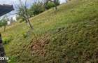 Teren intravilan de vanzare, 26.000 mp, Bulz, Bihor,Gaminvest,V4693 - 3