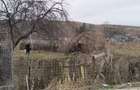 Vand teren intravilan - 2