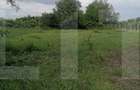 Casa batraneasca de vanzare Braesti, judetul Botosani - 2