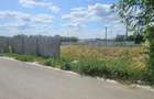 Vand 1000mp in Aroneanu - 1