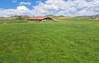 Vand teren,pasune 120 hectare cu carte funciara - 2