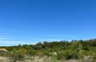 RECO teren intravilan Sanmartin - 1