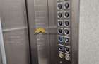 Apartament 2 camere, Dristor, etaj 9, balcon - 8
