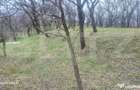 TEREN INTRAVILAN VEDERE PANORAMICA La 2 km de Manastirea CRA - 8