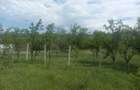 Teren intravilan 1700 mp - Drajna de Jos, Poiana Mierlei 15/mp, neg - 2