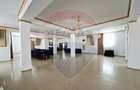 Spațiu comercial, de 400 mp, în Valea Rosie - 33